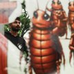 W Indiach narasta ruch sprzeciwu wobec rządu Modiego