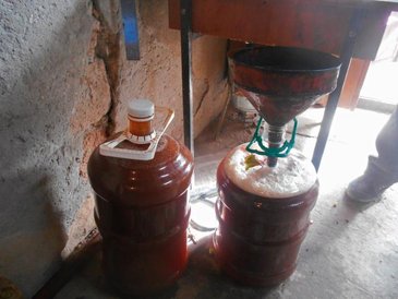 W Gruzji niemal każdy, kto ma kawałek ziemi uprawnej, produkuje własne wino.