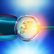Wojewoda małopolski unieważnił uchwałę Rady Miasta Krakowa w sprawie finansowania in vitro w mieście