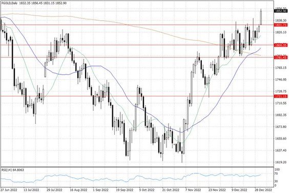 Notowania złota – dane dzienne