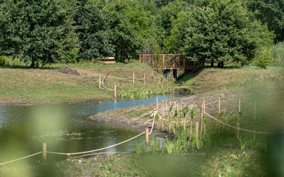 Park Krzycki – przykład Gospodarowania Wodami Opadowymi