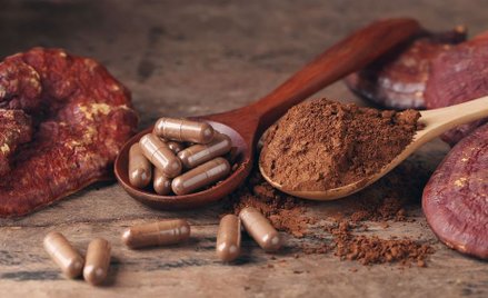 Grzyby sposobem na toksyczne leki