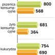 Ceny zbóż