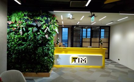 Kurs Timu spada po wynikach