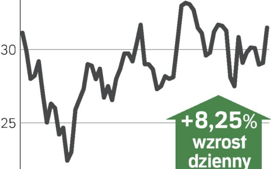 KGHM zarabia na słabym złotym