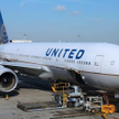 Błąd United Airlines: Rodzina poleciała do Kansas, jej pies - do Japonii