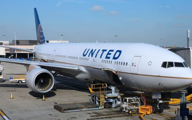 Błąd United Airlines: Rodzina poleciała do Kansas, jej pies - do Japonii