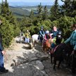 Dzieci na kucykach wjeżdżają na Śnieżkę. "Świat oszalał"