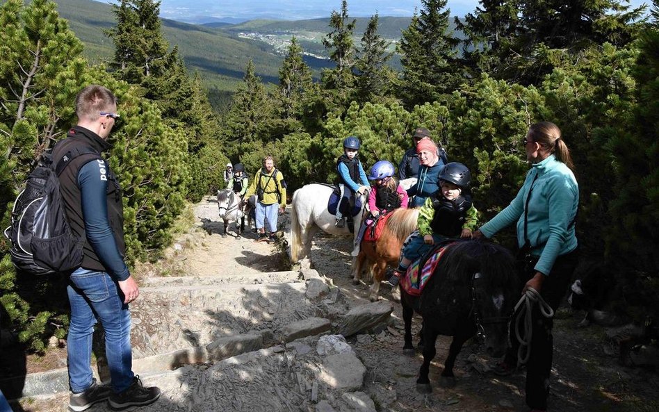 Dzieci na kucykach wjeżdżają na Śnieżkę. "Świat oszalał"