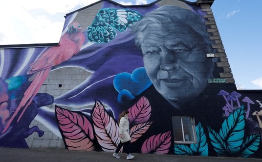 Mural przedstawiający Davida Attenborougha w Dublinie.