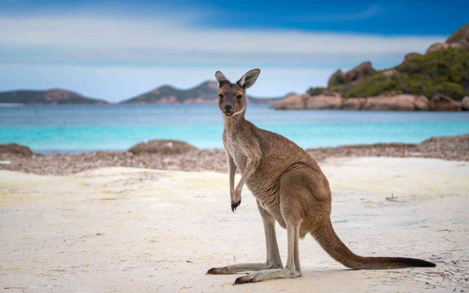 Temperatury w Australii Zachodniej przekraczają 50 stopni Celsjusza