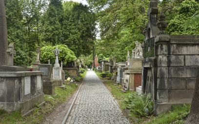 Liczba pochówków na krakowskich cmentarzach rośnie w zastraszającym tempie. Na zdjęciu cmentarz Rako