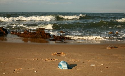 Do 2040 roku potroi się ilość plastiku wpływającego do oceanów