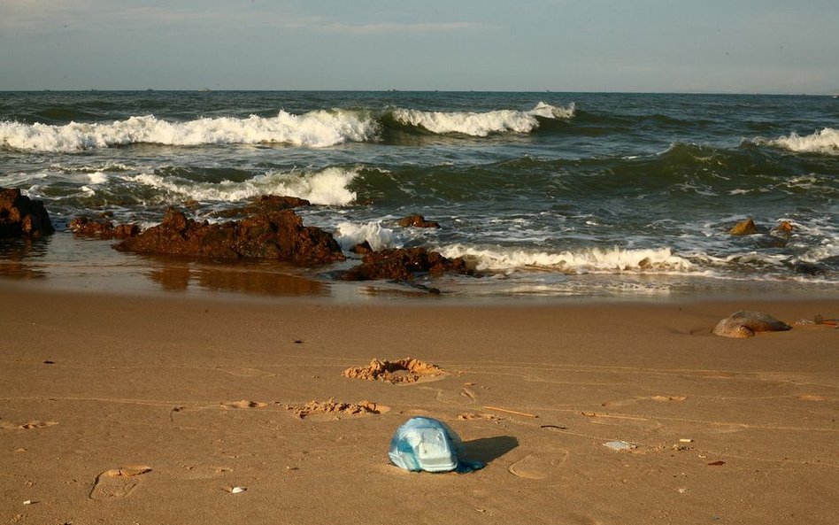 Do 2040 roku potroi się ilość plastiku wpływającego do oceanów