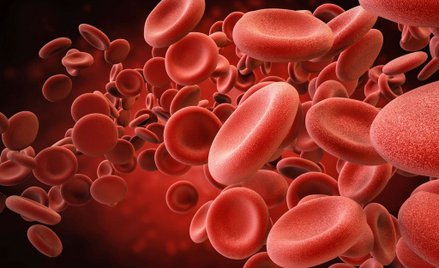 Grupę krwi człowieka można zmienić dzięki enzymom bakterii