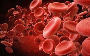 Grupę krwi człowieka można zmienić dzięki enzymom bakterii