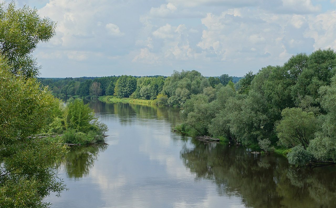 Wolontariusze do sprzątania poszukiwani. Operacja Czysta Rzeka czeka