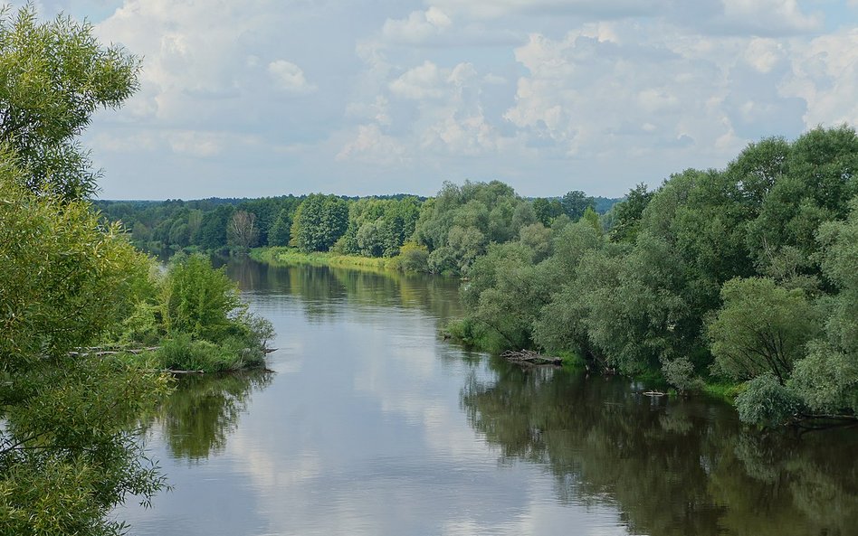 Historia akcji sięga 2018 r., kiedy narodził się pomysł sprzątania rzeki Bug oraz jej dopływów