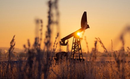 Typ techniczny: OPEC+ nie powinien zmienić układu sił na rynku ropy