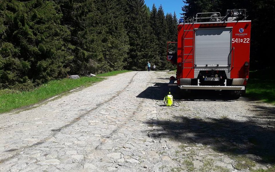 Wjechał samochodem na trasę w Tatrach. Interweniowała straż