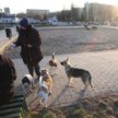 Warszawiacy chcieliby m.in. specjalnych wybiegów dla psów, takich, jakie znają już mieszkańcy Krakow