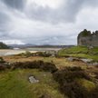 Eilean an Fheidh i zamek Castle Tioram