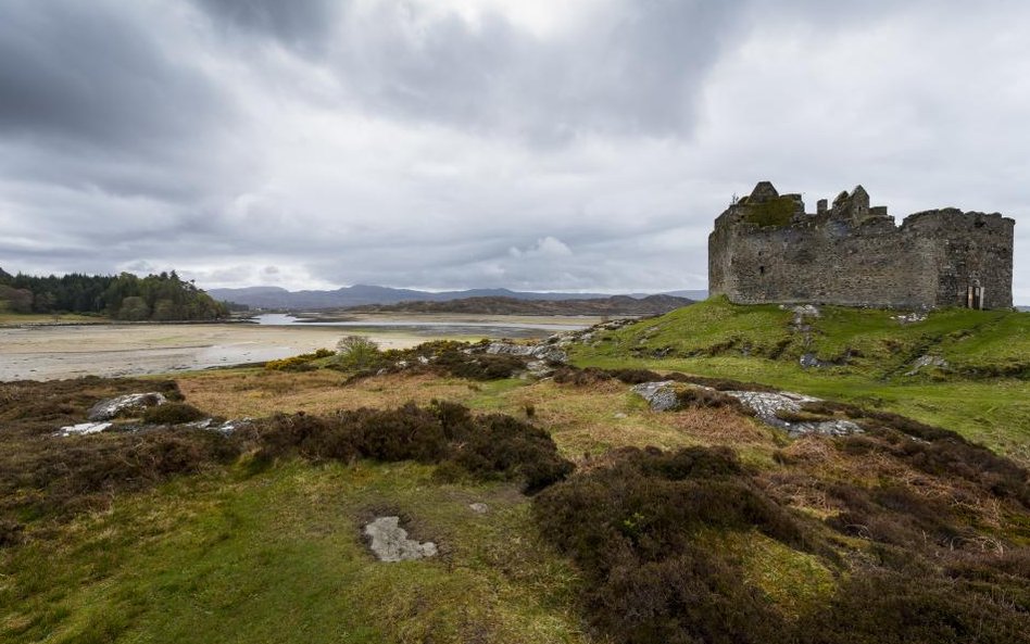 Eilean an Fheidh i zamek Castle Tioram