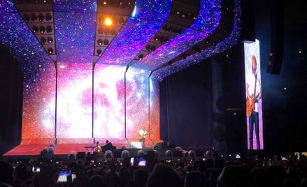 Ed Sheeran w koszulce z orłem w koronie
