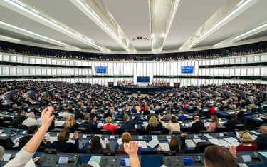 Ukonstytuowały się komisje w Parlamencie Europejskim