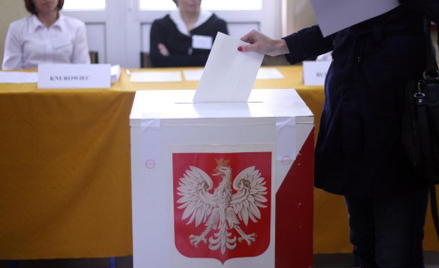 Sondaż: Dla wyborców program jest ważniejszy niż kandydaci