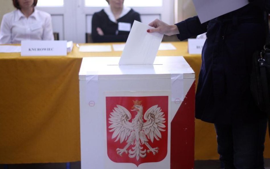 Sondaż: Dla wyborców program jest ważniejszy niż kandydaci