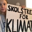 Greta Thunberg w Black Friday: Nie kupujcie zbędnych rzeczy