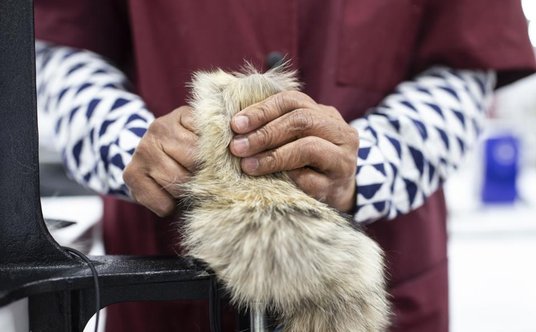 Canada Goose rezygnuje z naturalnych futer