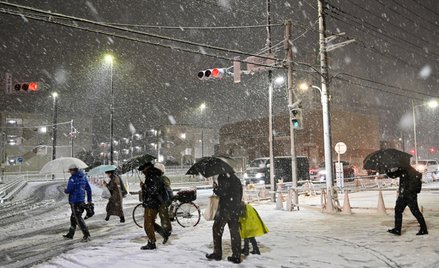 Opady śniegu w Tokio