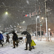 Opady śniegu w Tokio