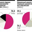 Amica chce odrobić stratę półroczną w trzecim kwartale