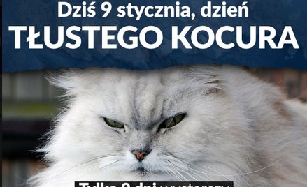 Razem: Członkowie zarządów w dziewięć dni zarobili tyle, ile pracownik przez rok