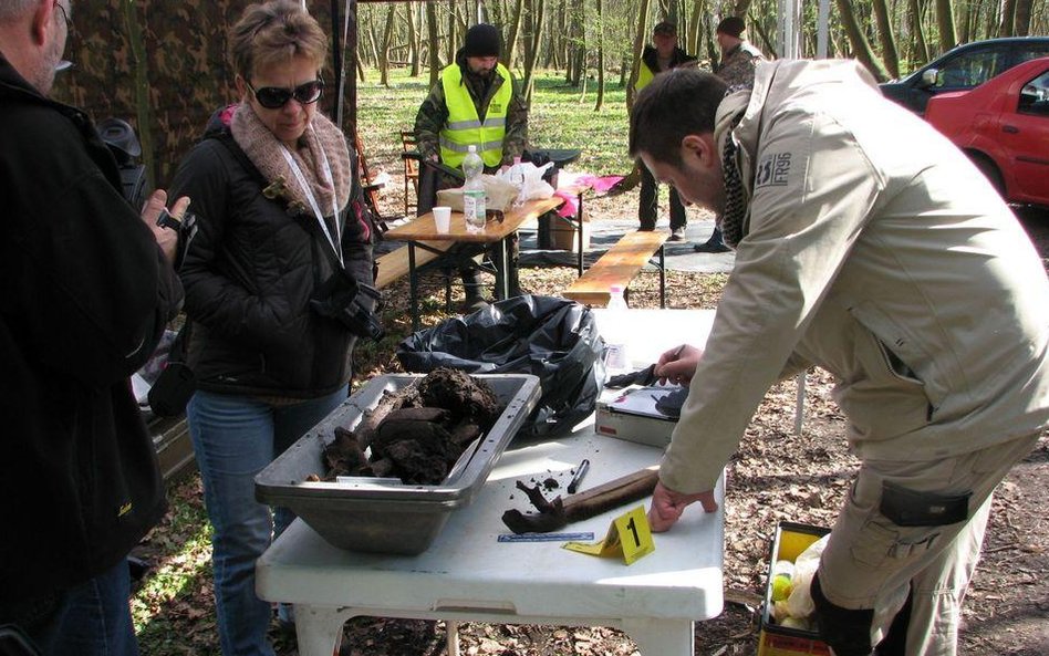 Miejsce poszukiwań w parku