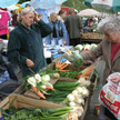 W 2012 r. wzrośnie podatek od nieruchomości i opłata za psa