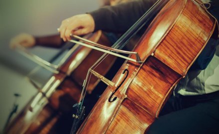 Aleksandra Sewerynik: Czy muzyk w orkiestrze tworzy dzieło?