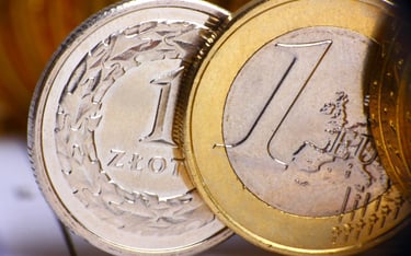 Złoty silniejszy na otwarciu tygodnia. Euro najniżej od lat