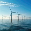 Morska energetyka wiatrowa, jak pokazują przykłady innych krajów, może być jednym z filarów transfor