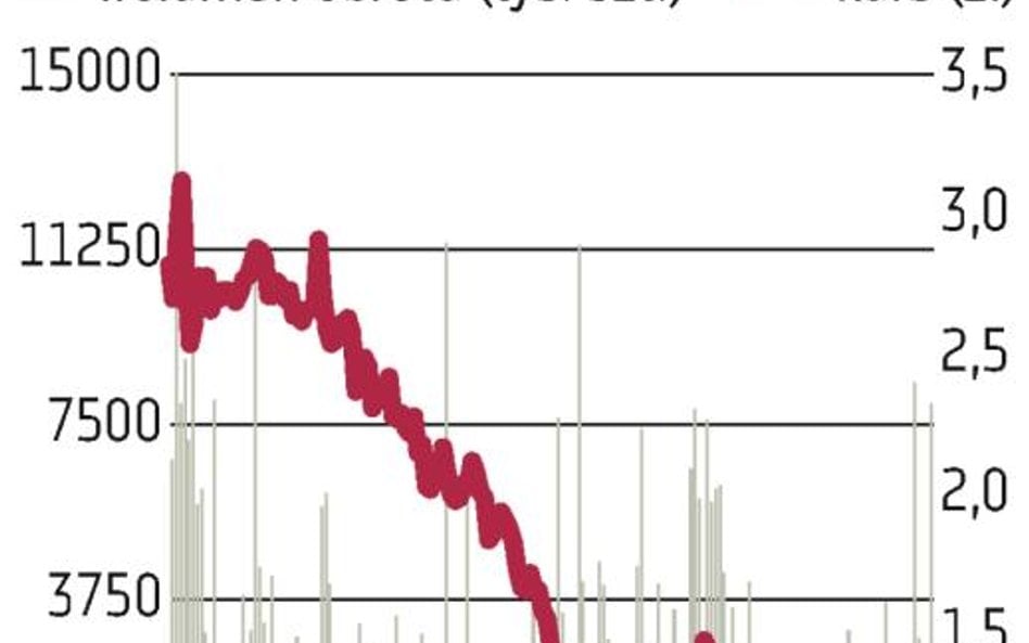 Petrolinvest: Wzrosty po wywiadzie z prezesem