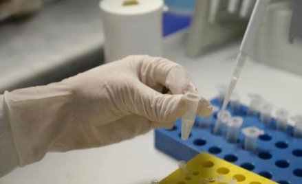 Nie do końca ludzki zarodek