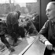 Jane Goodall