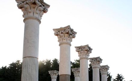 Krytyczne opinie o polskich gwarancjach dla Grecji