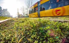 Ważnym elementem ekologicznym przeporowadzonego na Grochowskiej remontu będzie zastosowanie technolo