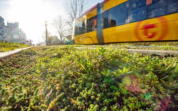 Ważnym elementem ekologicznym przeporowadzonego na Grochowskiej remontu będzie zastosowanie technolo