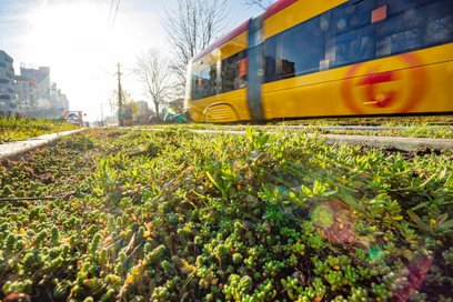 Ważnym elementem ekologicznym przeporowadzonego na Grochowskiej remontu będzie zastosowanie technolo