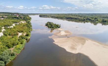 Stołeczny ratusz: To nie zatrucie wywołało śnięcie ryb w Wiśle
